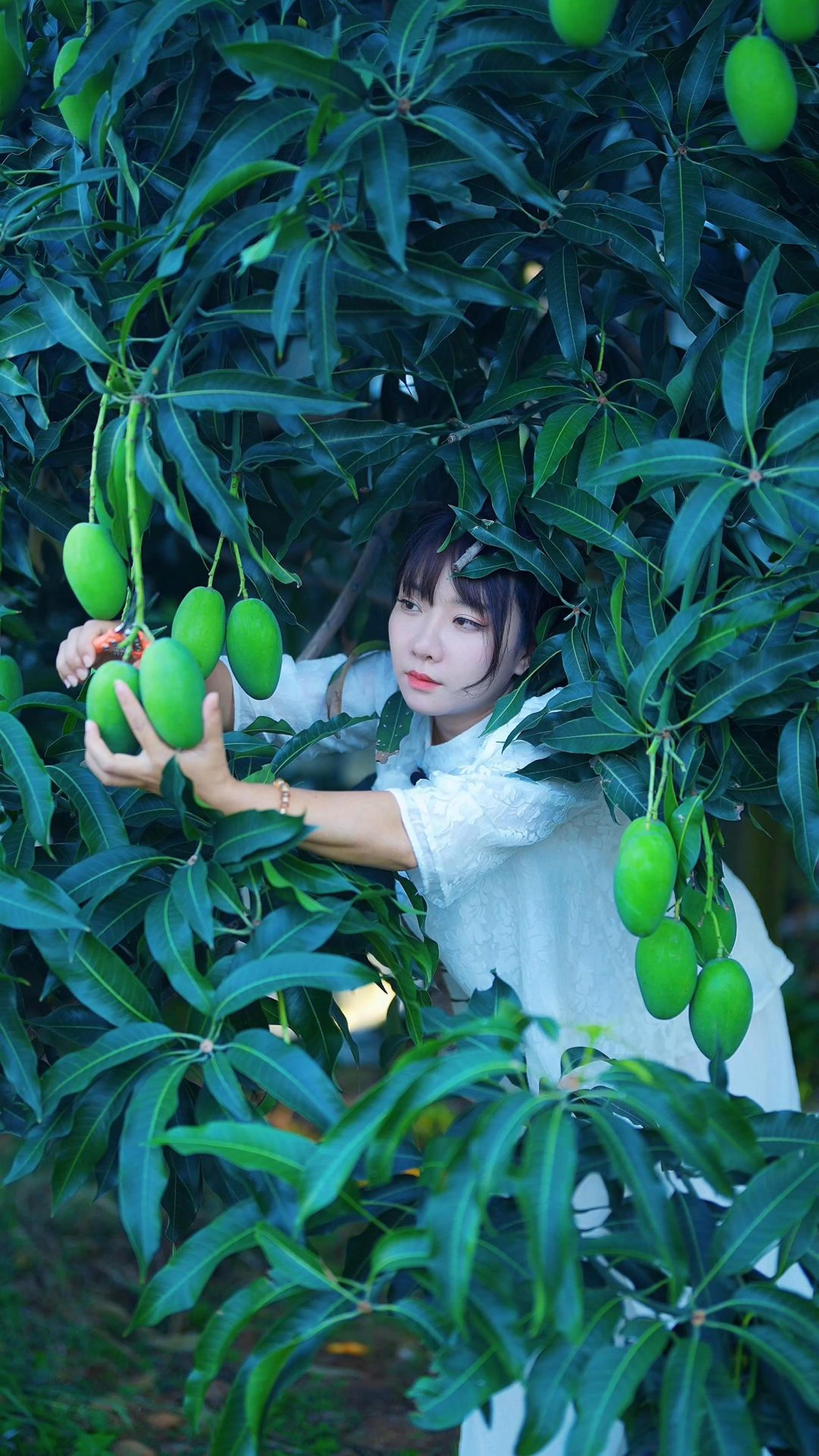 「甜蜜」满筐！巴东秋季水果采摘路线→